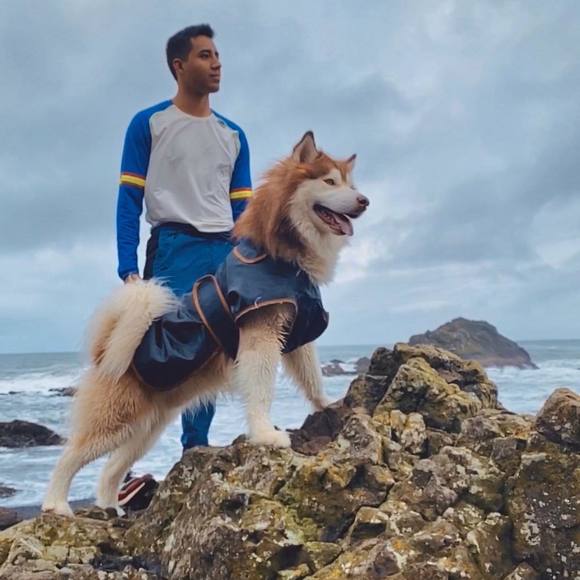 Meet your Posher, David - Picture 1 of 1